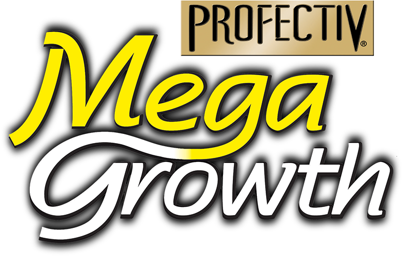 Profectiv Mega Growth